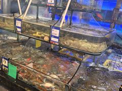 -友强·23年特色海鲜大排档(厦门店)