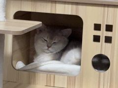 -佳雯宠物医院·皮肤科·内外科(春晓路分院)