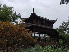 -西溪国家湿地公园