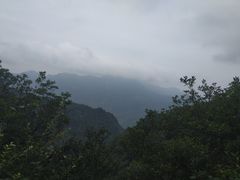 -野三坡百草畔景区