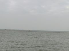 -北海金海湾红树林生态旅游区