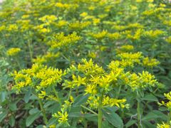 -野鸭湖国家湿地公园