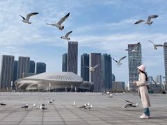 -东港音乐喷泉广场