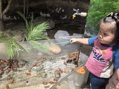 -正佳雨林生态植物园