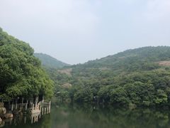 -白马涧龙池景区