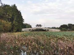 -东湖落雁景区