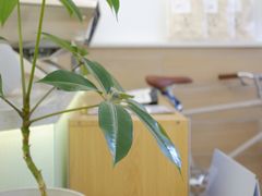 -Onirii Coffee(长乐路店)