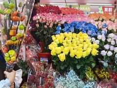 -越秀西湖花市(广州城市广场花卉店)