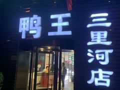 -鸭王烤鸭店(三里河店)