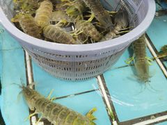 -华威西营里农产品批发市场