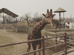 -西安秦岭野生动物园