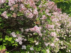 -国家植物园南园