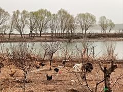 -巴音谷休闲度假山庄