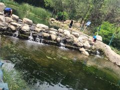-白水寺森林公园