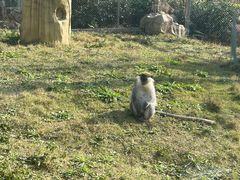 -黔灵山公园