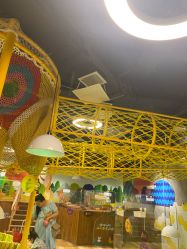 -七巧国萌宠乐园(龙湖天街店)