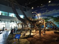 -自贡恐龙博物馆