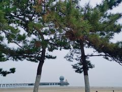 -ChanDu躔度咖啡(灯塔店)