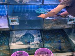 -阿龙海鲜农家乐·三亚老字号(海棠湾店)