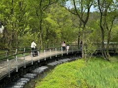 -西湖风景区-江洋畈生态公园