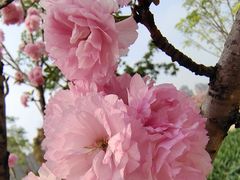 -恒大世纪梦幻城