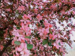 -蓝地时尚庄园(北京清河营地铁站店)