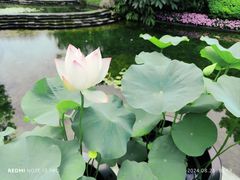 -云溪植物园