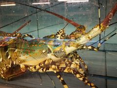 -青石桥市场北1-27号