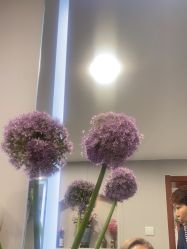 -飞雨言美容美发