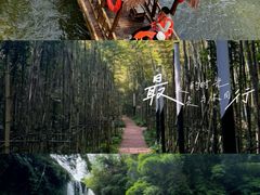 -蜀南竹海景区