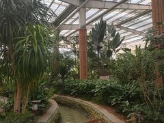 -南宫五洲植物乐园