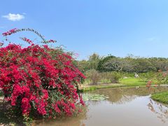-中国科学院西双版纳热带植物园