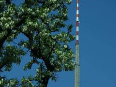 -中央广播电视塔