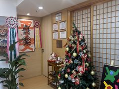 -猫十亿·布偶金渐层·曼基康矮脚猫舍(青年路店)