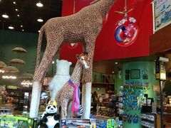 -Behring World of Animals(上海自然博物馆店)