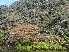 -西湖游船