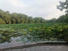 -北陵公园