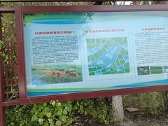 -白渔泡湿地公园