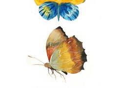 -六出私塾LiuChu•成人美术书法系统课程专业画室(熊婆婆的花园店)