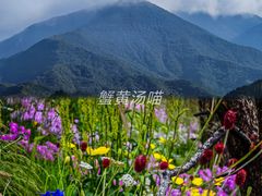 -灵山