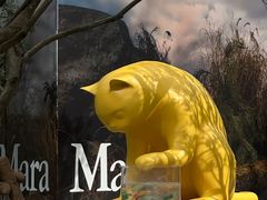 -深圳湾万象城(南山店)