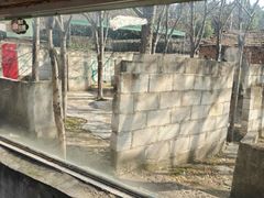 -东湖小天池真人CS彩弹野战基地