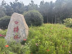 -长春市南湖公园