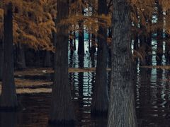 -四明湖