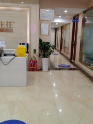 -碧莲盛·不剃发植发