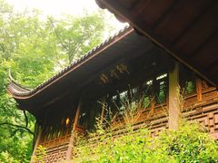-十八棵（老龙井）御茶园(老龙井店)