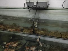 -阿军排档·烧烤