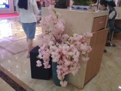 -重庆军美医疗美容医院