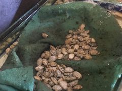 -牛品福潮汕牛肉火锅(旺庄店)