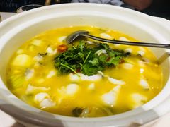 鲜花椒美鱼-蜀腾川·火锅鱼.烤鱼(新世界城店)